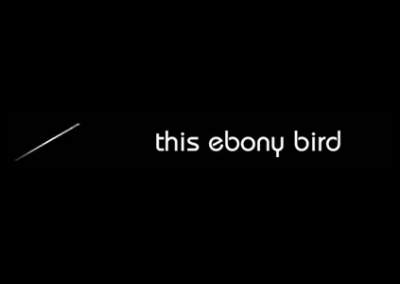 This Ebony Bird